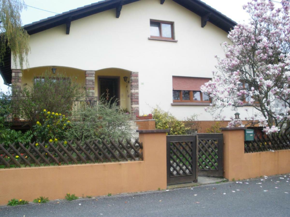Gite Du Frankenbourg Châtenois 外观 照片